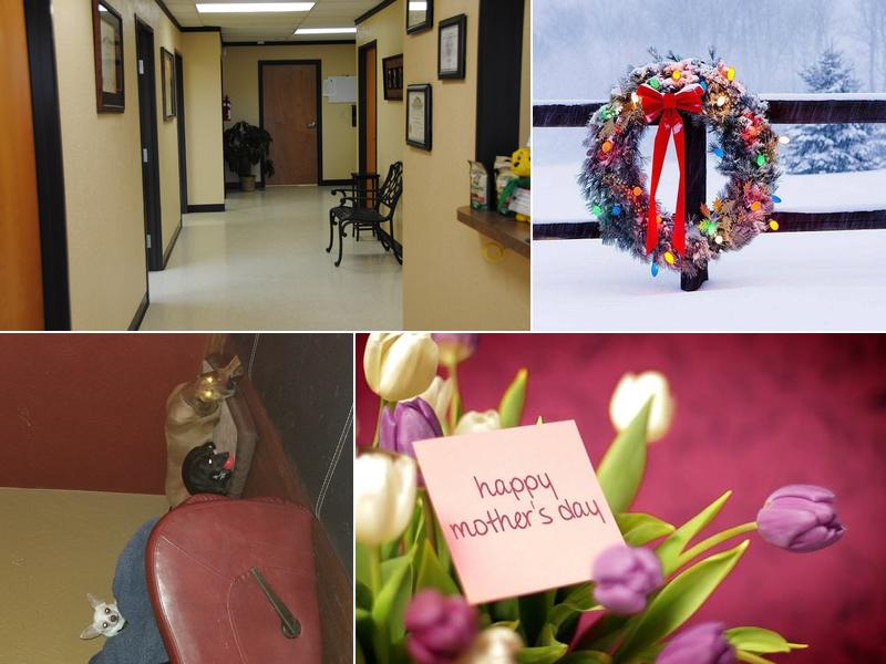 Hergenrether Animal Hospital: Hergenrether John DVM