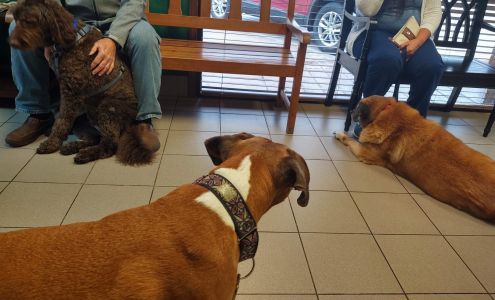 Quail Creek Veterinary