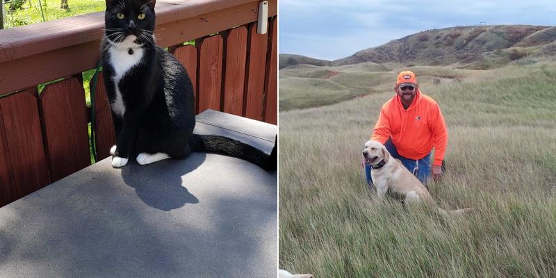 Bell Veterinary Services