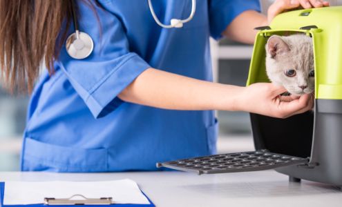 Town and Country Animal Hospital