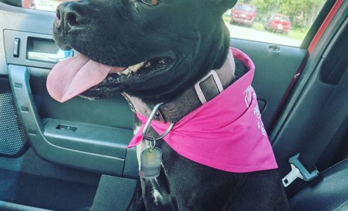 Cornerstone Veterinary Hospital Mountain Home