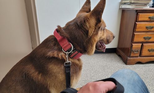 Galbraith Wyatt Dvm Pulaski