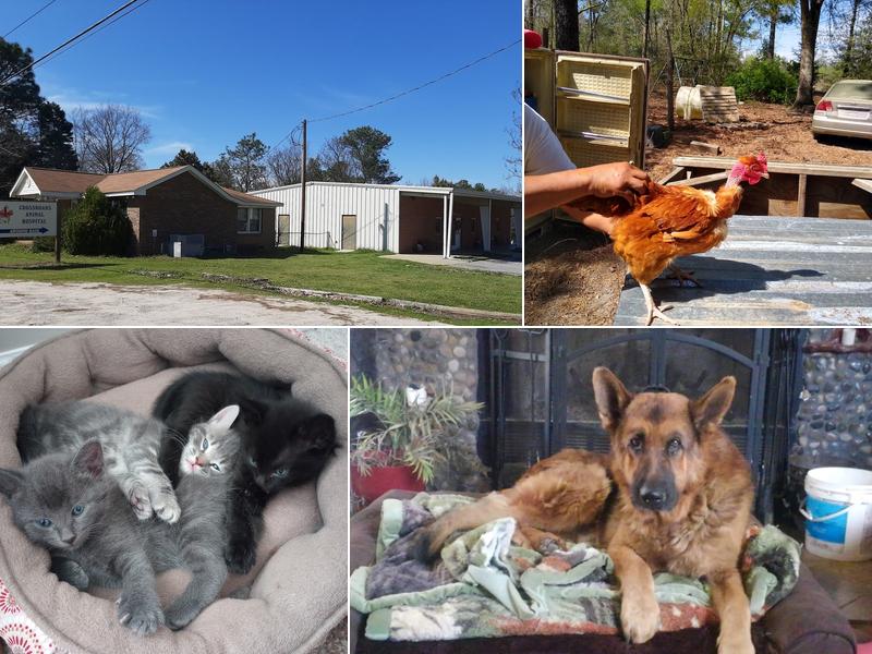 Crossroads Veterinary Services