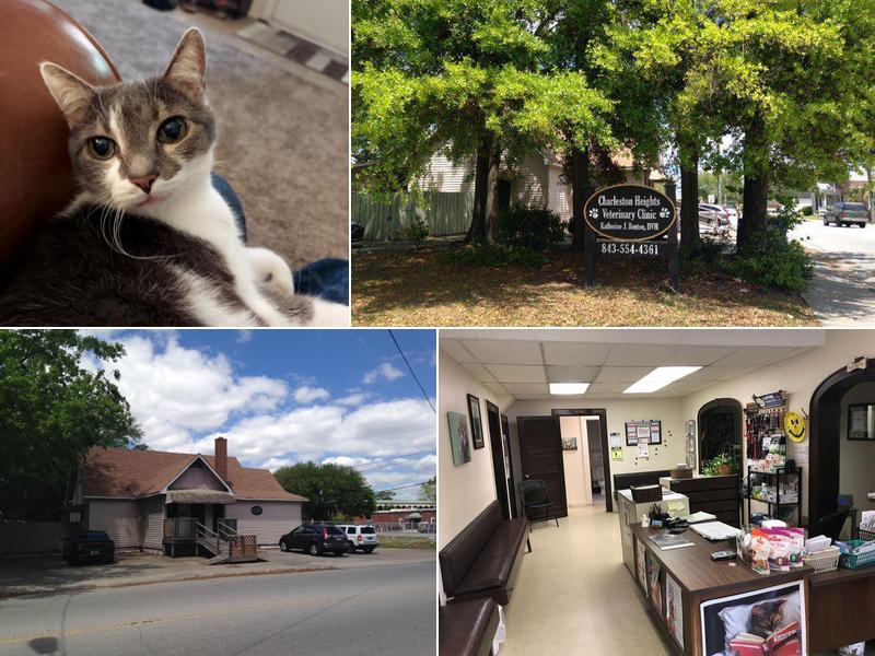 Charleston Heights Veterinary Clinic