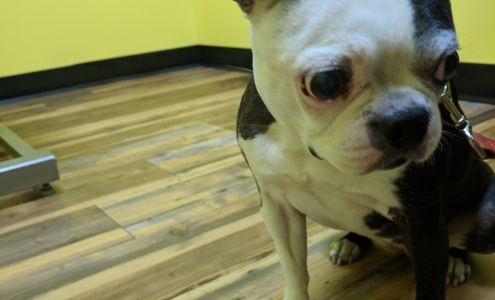 Long Point Animal Hospital