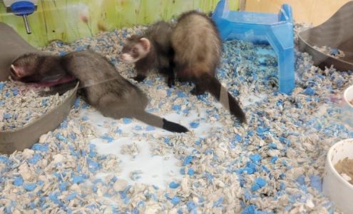 Vetco North Charleston