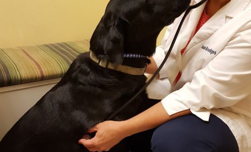 Companion Animal Hospital- Vet Clinic Montgomery City MO Montgomery City