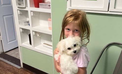 Animal Hospital of Eureka Springs Eureka Springs