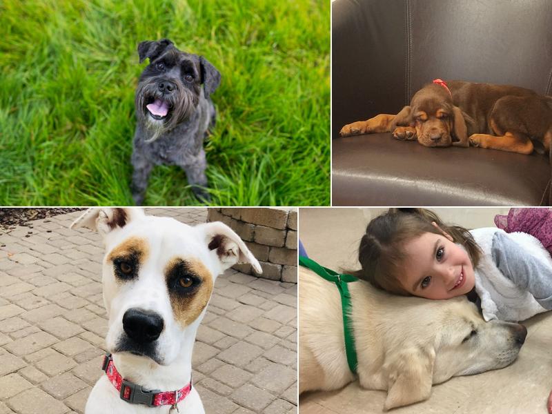 Baxter Veterinary Clinic