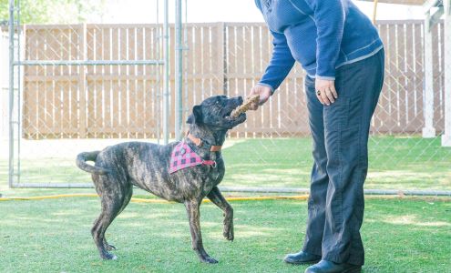College Park Road Veterinary Clinic