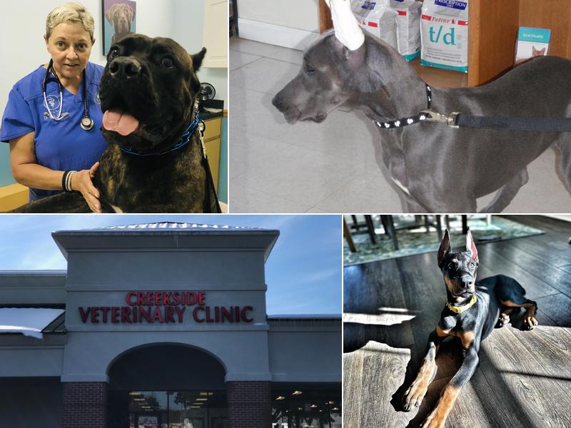 Dr. Crowe's Ear Crops at Creekside