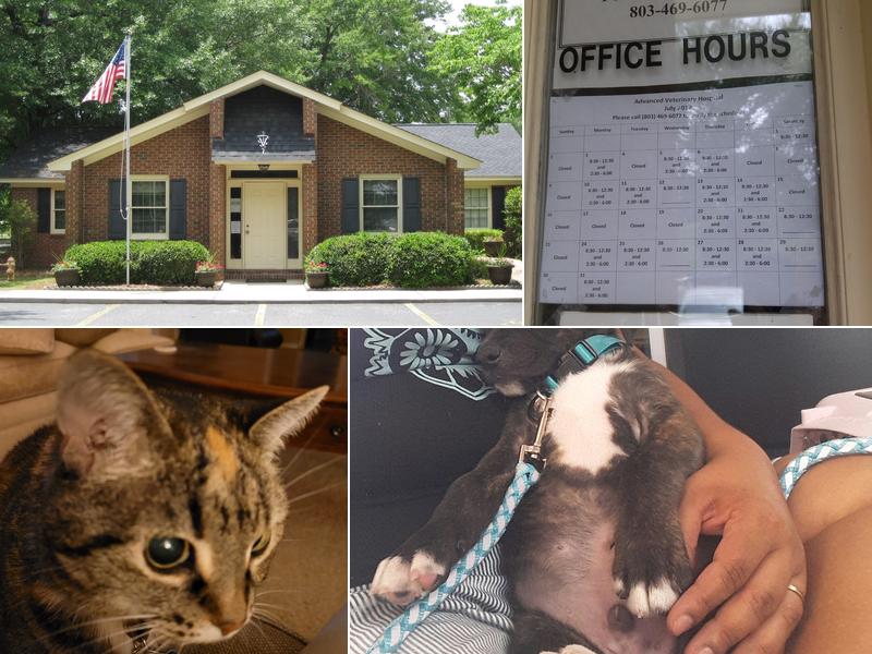 Advanced Veterinary Hospital