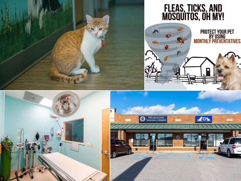 Hudson Veterinary Hospital