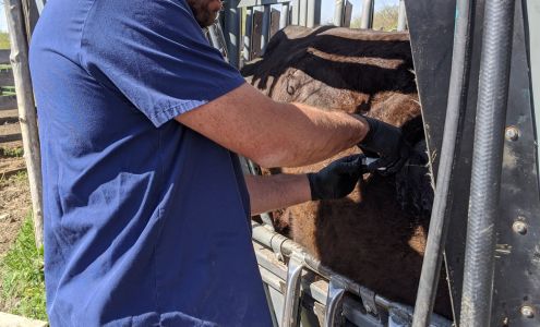 Mountain Valley Veterinary Services Wilsall