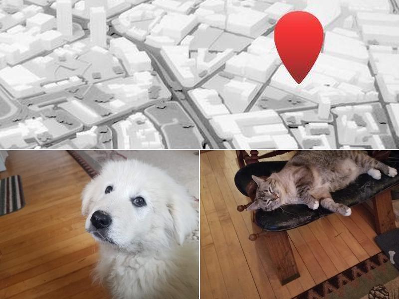 Great Northern Veterinary Center