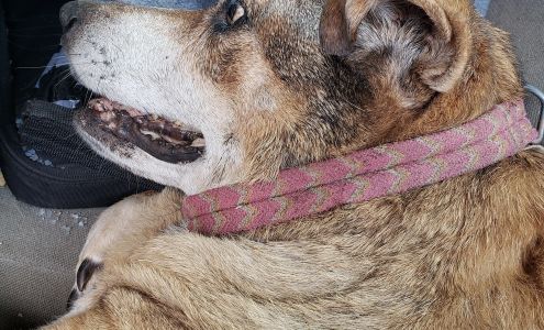 Lybrand Animal Clinic 1115 W Center St, Sheridan Arkansas 72150