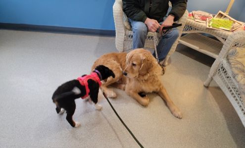 Youngsville Veterinary Clinic 4130 NY-52, Youngsville New York 12791