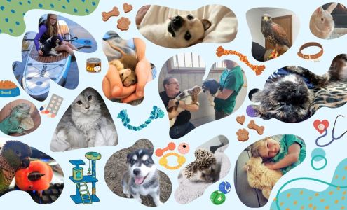 Shimek, Robert E DVM - Hoffman Veterinary Clinic