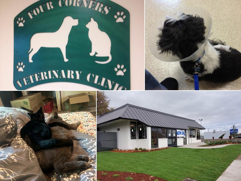 Four Corners Veterinary Clinic