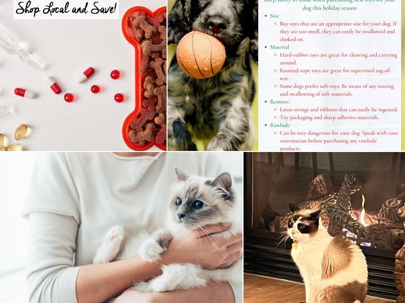 Ark Veterinary Clinic: Helton, Mick DVM