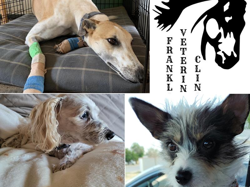 Franklin Veterinary Clinic