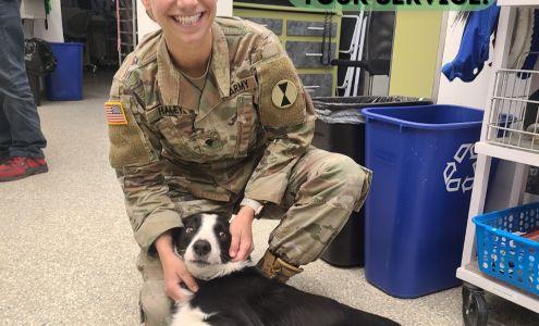 Bend Veterinary Clinic