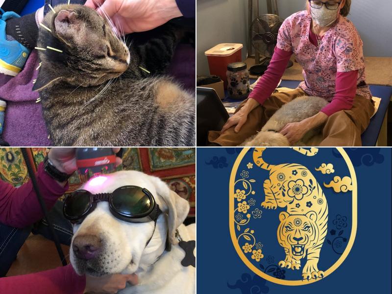 Sage Veterinary Alternatives