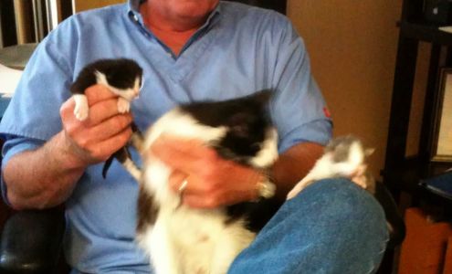 Home Comfort Veterinary Services