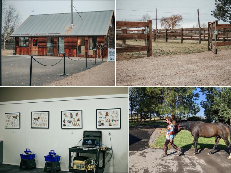 Black Diamond Equine Veterinary Clinic