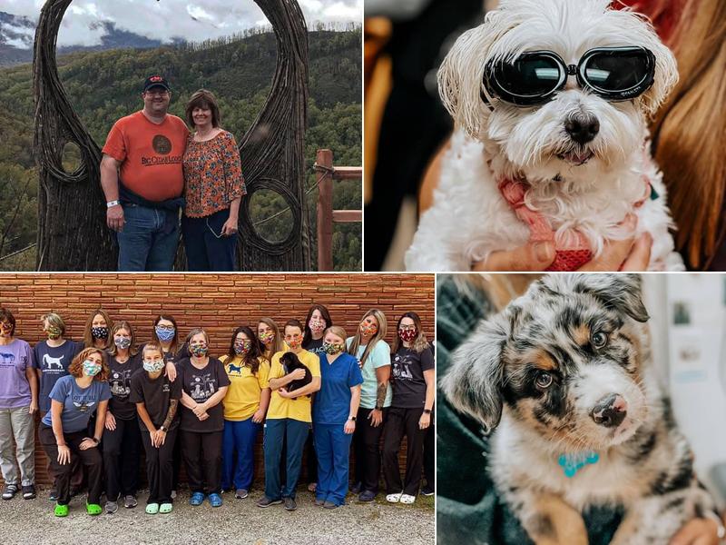 East Ridge Animal Hospital: Knarr Karen T DVM