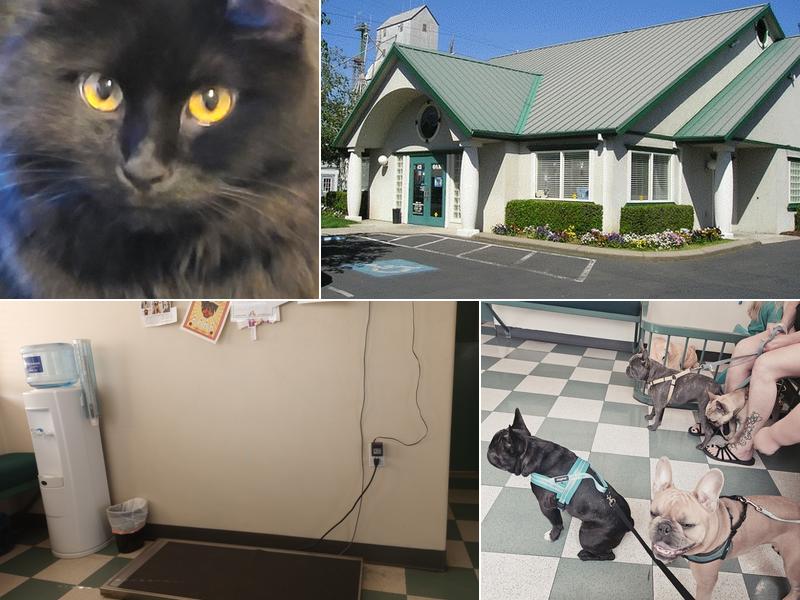 Roxy Ann Veterinary Hospital