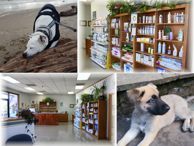 Periwinkle Pet Clinic