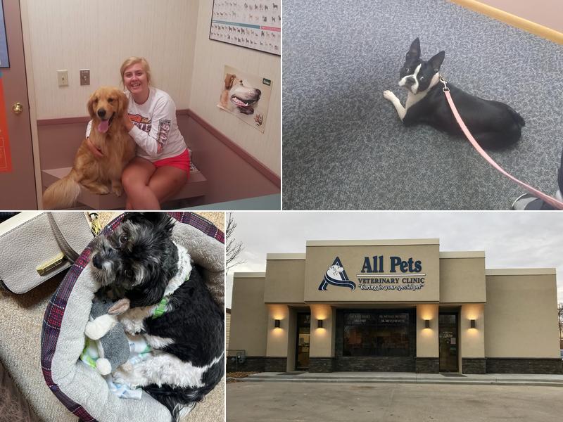 All Pets Veterinary Clinic