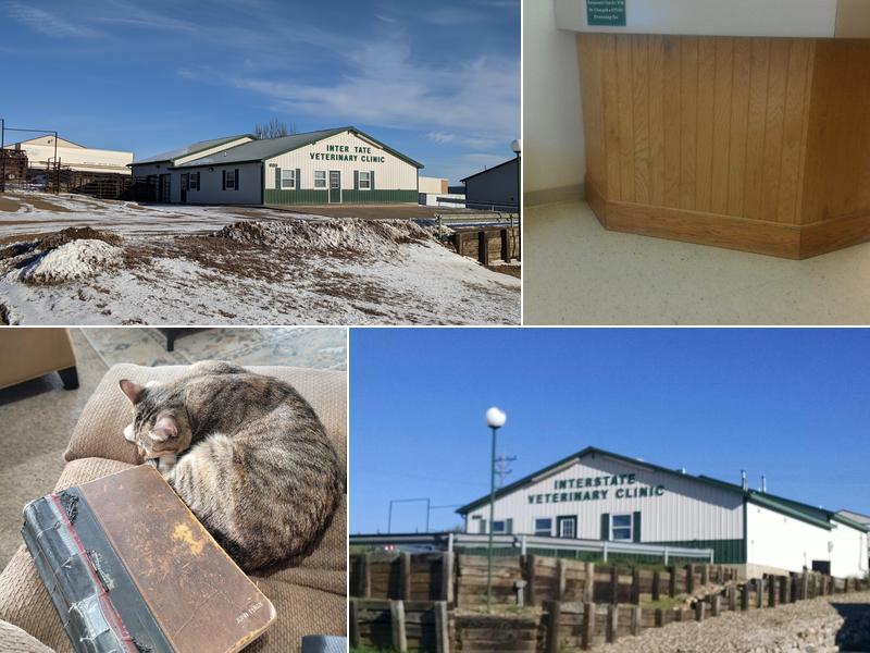 Interstate Veterinary Clinic