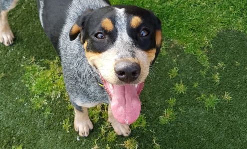 Hope Springs Veterinary at Pembroke