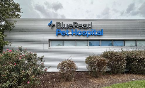 BluePearl Pet Hospital