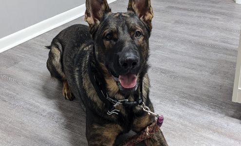 Bayside Veterinary Clinic