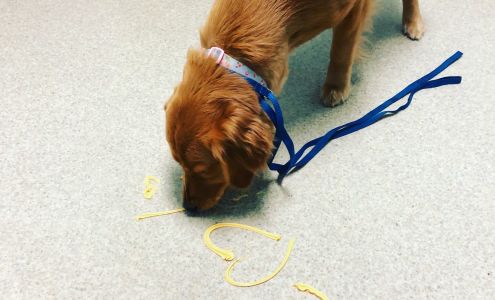 Strawbridge Animal Care Virginia Beach