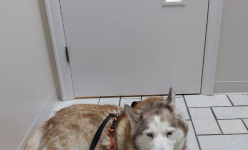 Timberlake Veterinary Hospital