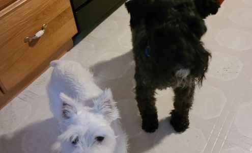 Deep Creek Veterinary Hospital