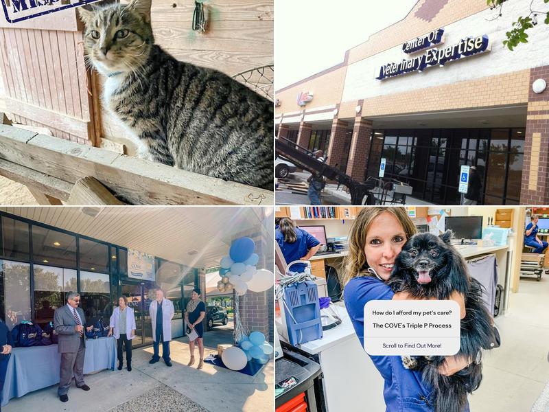 The Cove - Center of Veterinary Expertise