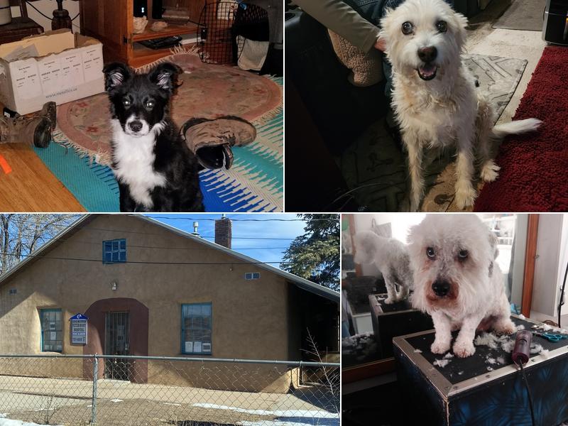 Pecos Valley Veterinary Hospital