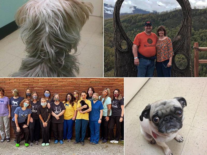 East Ridge Animal Hospital: Smith Andrew G DVM