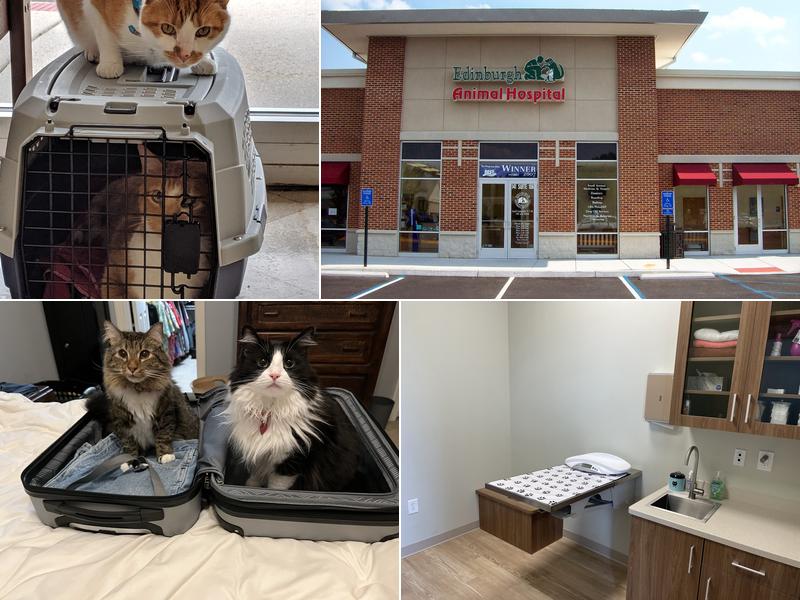 Edinburgh Animal Hospital