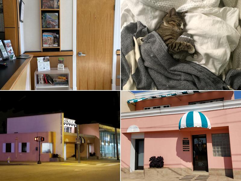 Broad Street Veterinary Hospital