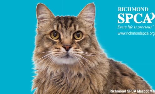Richmond SPCA
