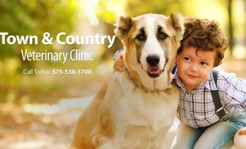 Town & Country Veterinary Clinic 2035 Memory Ln, Silver City New Mexico 88061