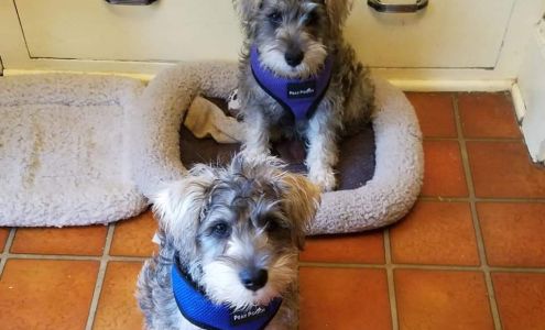 Gila Animal Clinic: Wilmeth Paul E DVM Silver City