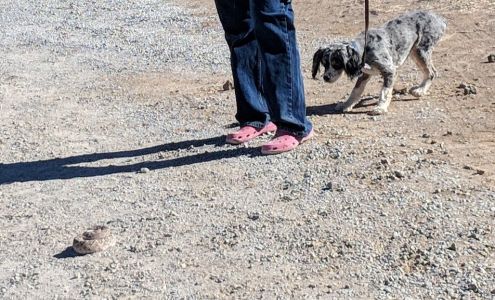 Gila Animal Clinic Silver City