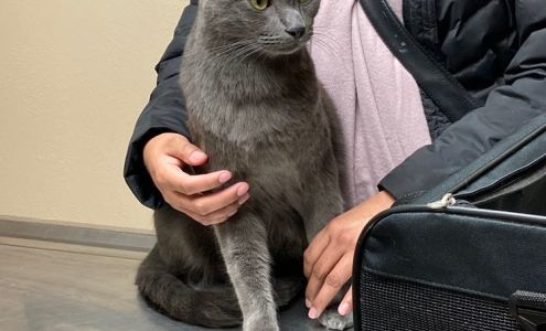 Arenas Valley Animal Clinic: Wenzel John C DVM 11865 US-180, Arenas Valley New Mexico 88022